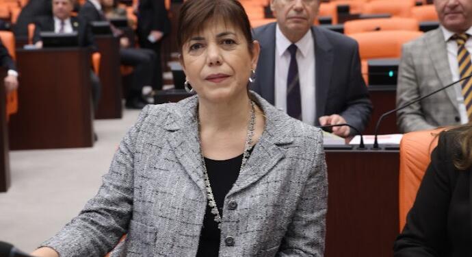 Beştaş’tan AKP’li Gökçek’e cevap: Sayın Öcalan’a sayın Öcalan diyoruz