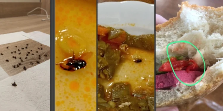 KYK’da öğrencilere ‘zehirlenmek’ reva görülüyor!