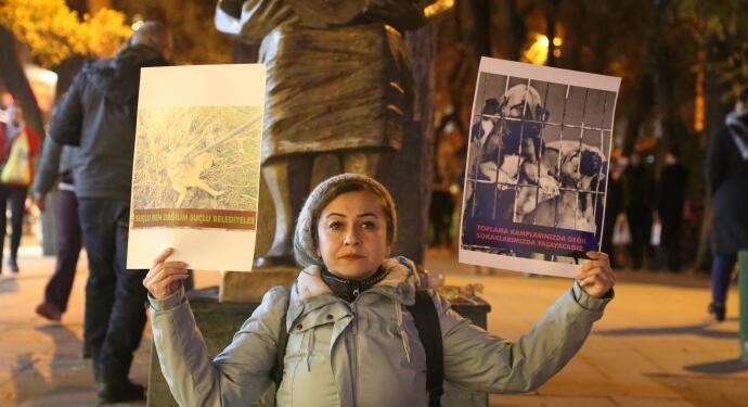 Sokak hayvanları için Ankara’da eylem