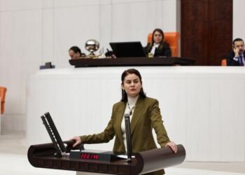 Tecrit ve açlık grevleri Meclis gündeminde: Cezaevlerine kulak verin