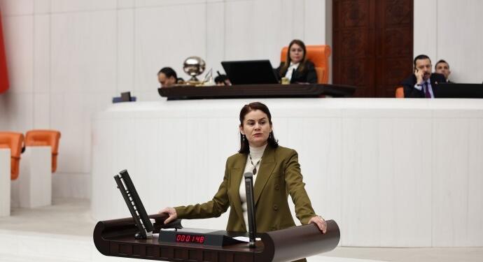 Tecrit ve açlık grevleri Meclis gündeminde: Cezaevlerine kulak verin