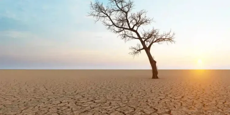 Sermaye kuşatmasına karşı ‘Muğla Su İnisiyatifi’