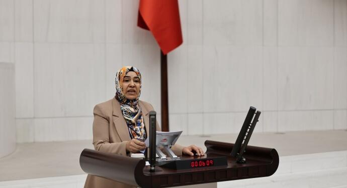 DEM Partili Varli’dan kayyım tepkisi: Sizler gideceksiniz, halkın iradesi kalacak