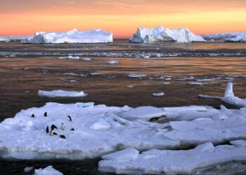 Dünya ısınıyor, geleceğimiz karanlık