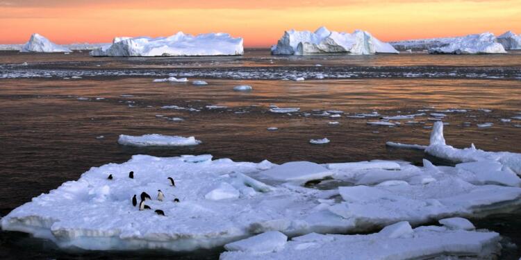 Dünya ısınıyor, geleceğimiz karanlık