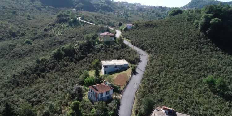 3 ayrı ÇED süreci başlatıldı