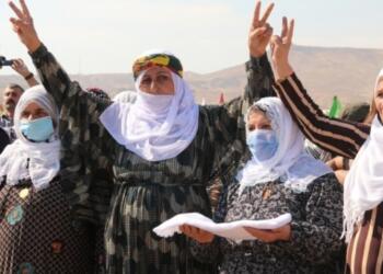 ‘On anneyi tutsalar elli kişi olur mücadele ederiz’