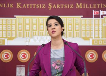 Sevda Karaca: Çözümün yolu tezkereler değil