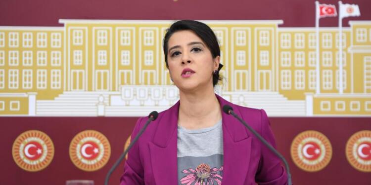 Sevda Karaca: Çözümün yolu tezkereler değil
