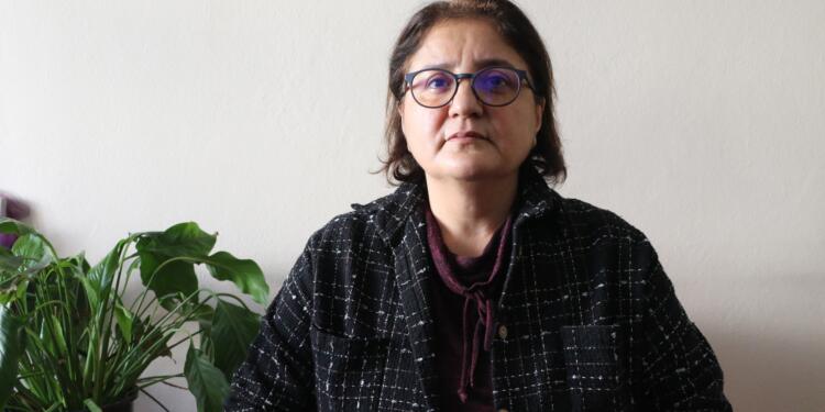 ‘Demokratik ve barışçıl çözüm için tecrit kaldırılmalı’