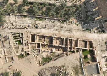 Dara antik kentinde tarihi çarşı keşfedildi