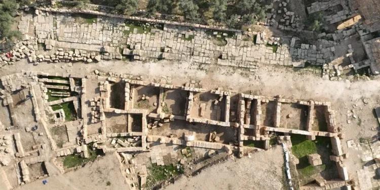 Dara antik kentinde tarihi çarşı keşfedildi