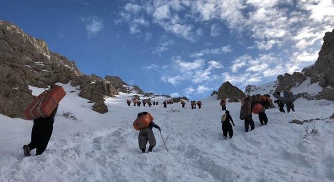 2023’te en az 48 kolber katledildi