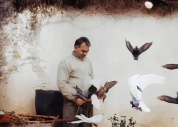 TJA aktivisti Bilgin: Çözüm milyonların iradesi Öcalan’da