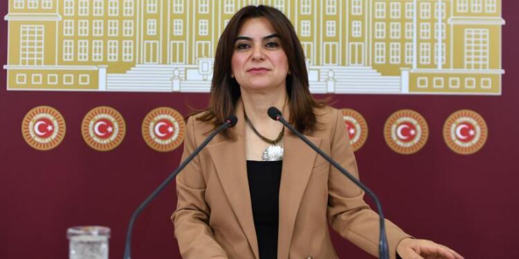 Koçyiğit: Yargıtay Meclis’e kayyım olarak atanmak isteniyor