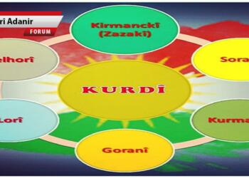 Noam Chomsky’nin ‘dilde sıfır nokta’ dediği dil Kürtçe mi?