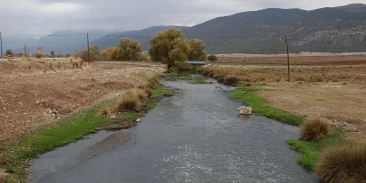 Doğa dostları çare arıyor