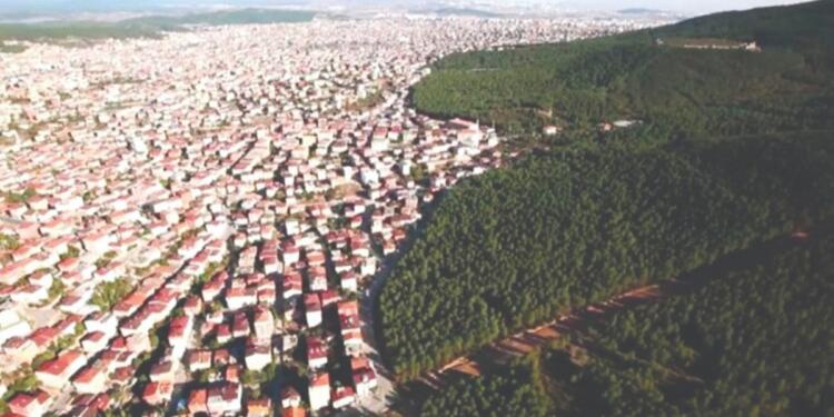 ‘Ormanların içi boşaltılıyor’