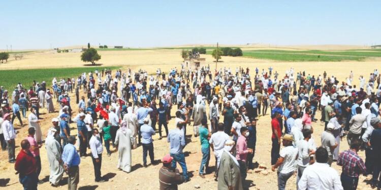 DEDAŞ’ın Kürt çiftçisine tehdidi sürüyor