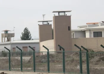 Açlık grevleri 44’üncü gününde: Tecrit sürdükçe herkes altında kalır