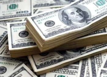 Dolar 30 TL’ye dayandı