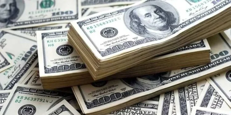 Dolar 30 TL’ye dayandı