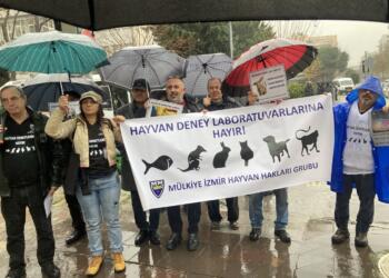 ‘Hayvan deneylerinden vazgeçin’ çağrısı