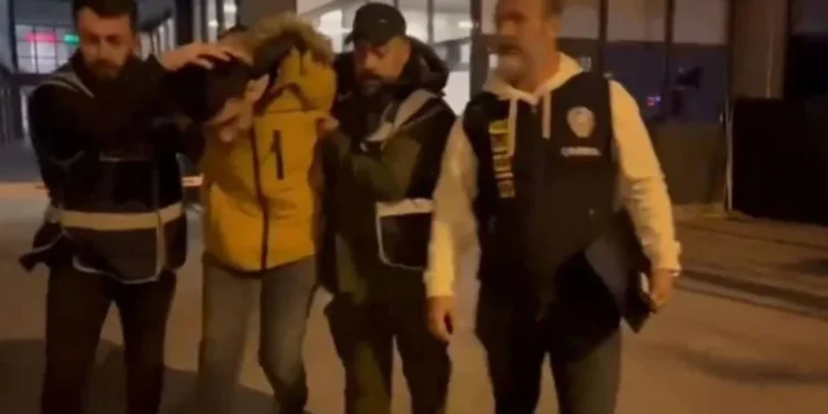 Kedilere işkence eden beş kişi tutuklandı