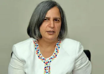 Kışanak: Beni bu hücrelerle korkutmaya çalışanlar bilsin ki Esat Oktay beni korkutmadı