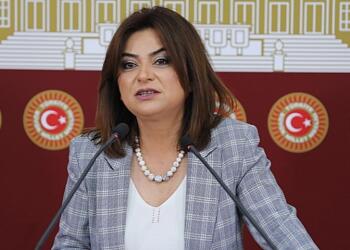 Koçyiğit: Kürt sorunu çözülmediği sürece demokrasi gelmez