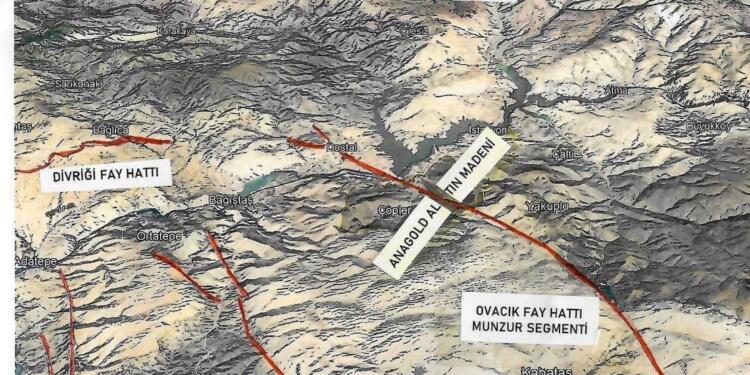 Devlet şirket kolkola!