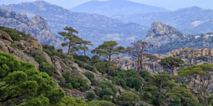 Muğla bu yıl kar yüzü görmedi