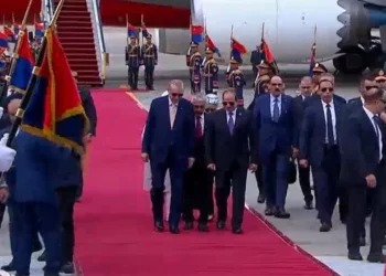 Sisi Erdoğan’ı karşıladı