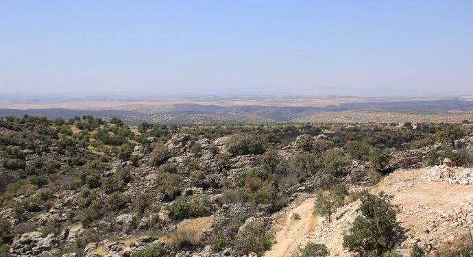Bagok Dağı bombalanıyor