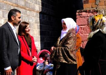 ‘Amed’i halk meclisleri yönetecek’