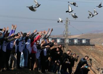 DEM Partili Bozan: Yürüyüşümüz sadece başlangıçtı