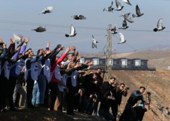 ‘Özgürlük Yürüyüşü’ iki koldan devam ediyor: Büyük buluşma 13 Şubat’ta Amed’de