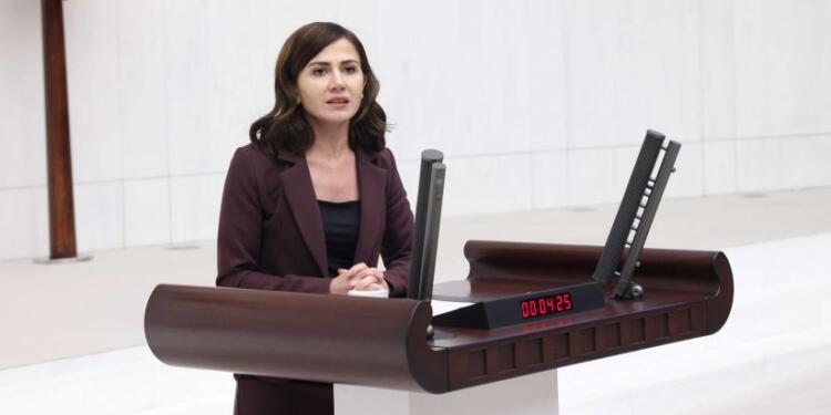 DEM Parti depremzede kadınları Meclis gündemine taşıdı