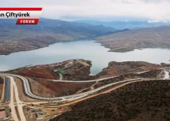 Kayyım rejimi kültürel işgaldir