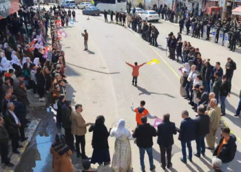 DEM Parti’den halk buluşmaları: Öcalan’ın iradesini dikkate alın