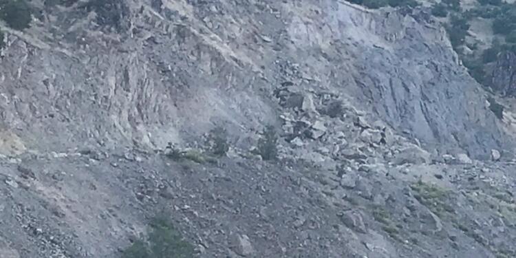 Dersim’de ‘çığlıklarımız duyulmuyor’