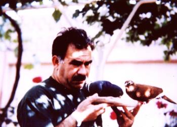 Ekolojist Türkay: Öcalan’ın özgürlüğü ekolojik yaşam için de kritik