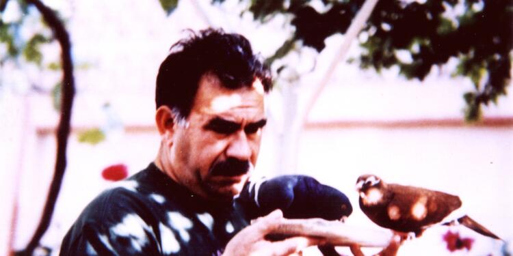 Ekolojist Türkay: Öcalan’ın özgürlüğü ekolojik yaşam için de kritik