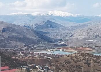 İliç’te canlı ölümleri başladı