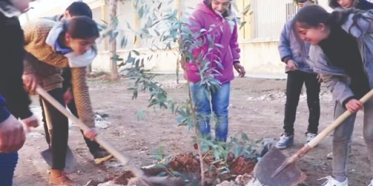 Kobanê’de ağaç dikme kampanyası