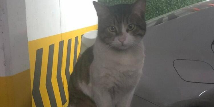 Eros’u Katleden İbrahim Keloğlan yeniden yargılanacak