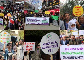 21 Şubat Anadil Günü’nde birçok kentte aynı talep: Kürtçe resmi dil olsun