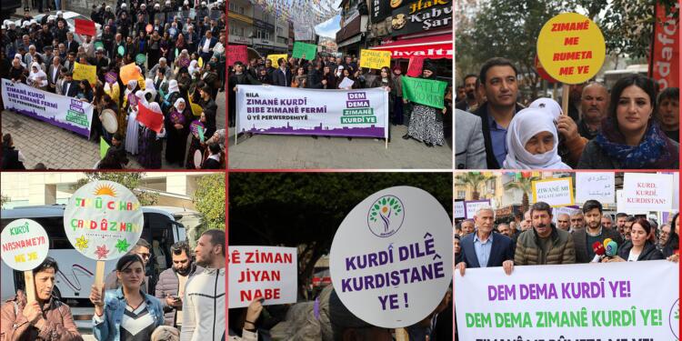 21 Şubat Anadil Günü’nde birçok kentte aynı talep: Kürtçe resmi dil olsun