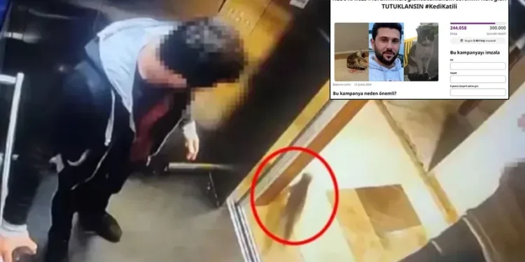 Kedi katili İbrahim Keloğlan’ın tutuklanması için 250 bin imza