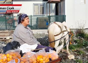 Hatay’da bir yıl: Antakya kahvesi ve portakallar